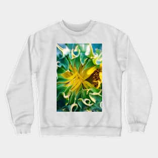 Unopened Sunflower Crewneck Sweatshirt
